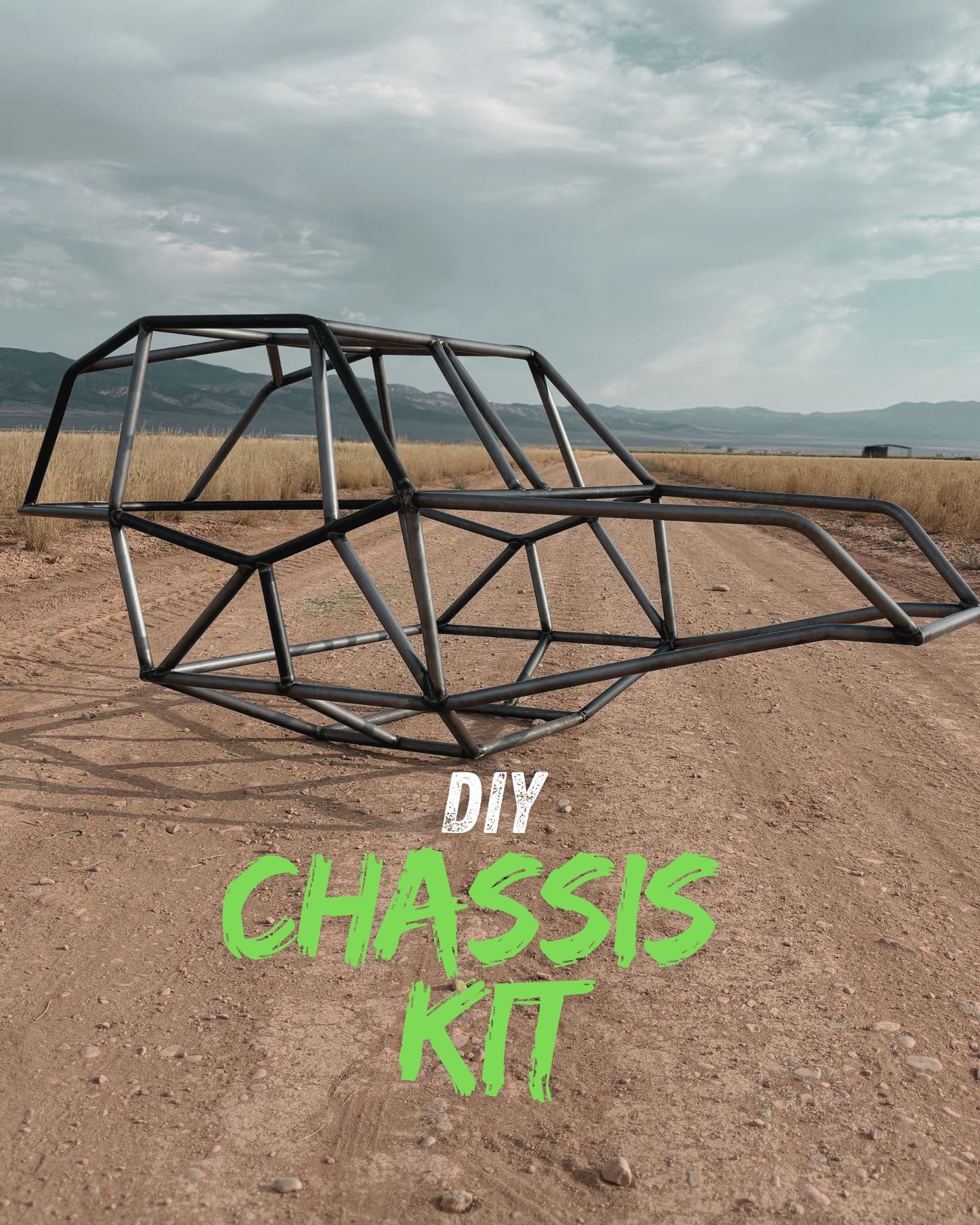 DIY Weld Together Lizard Kit!
