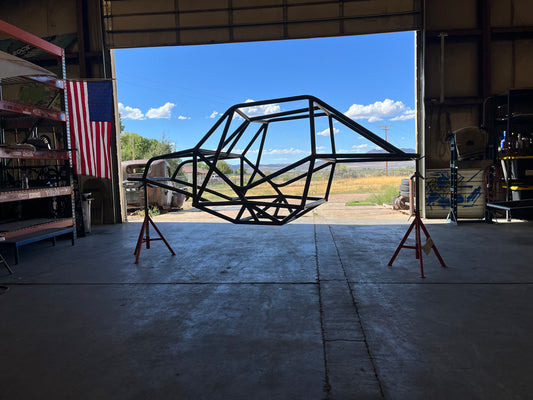 FABN801 DESERT LIZARD