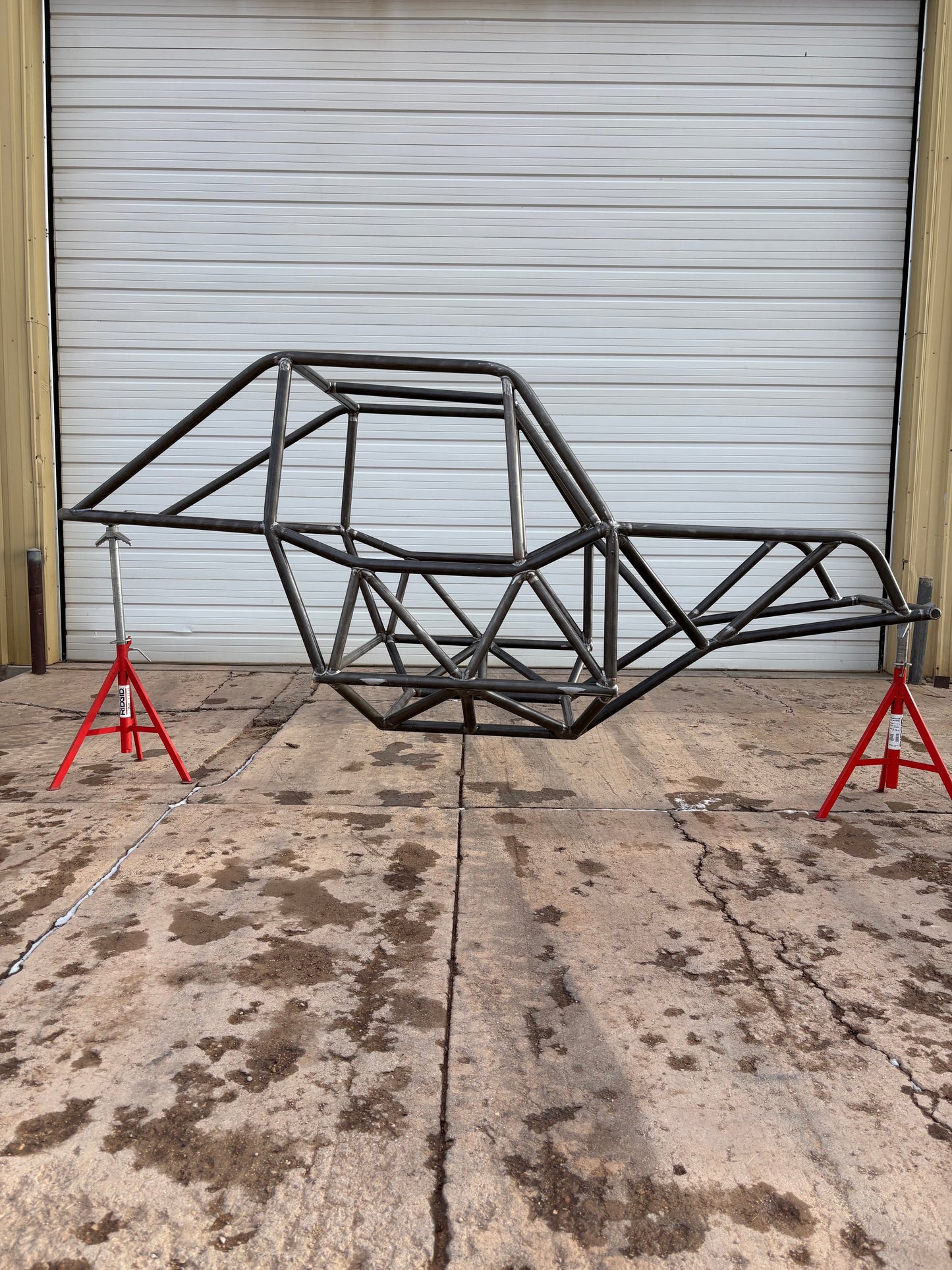 2 Seat TRAIL LIZARD
